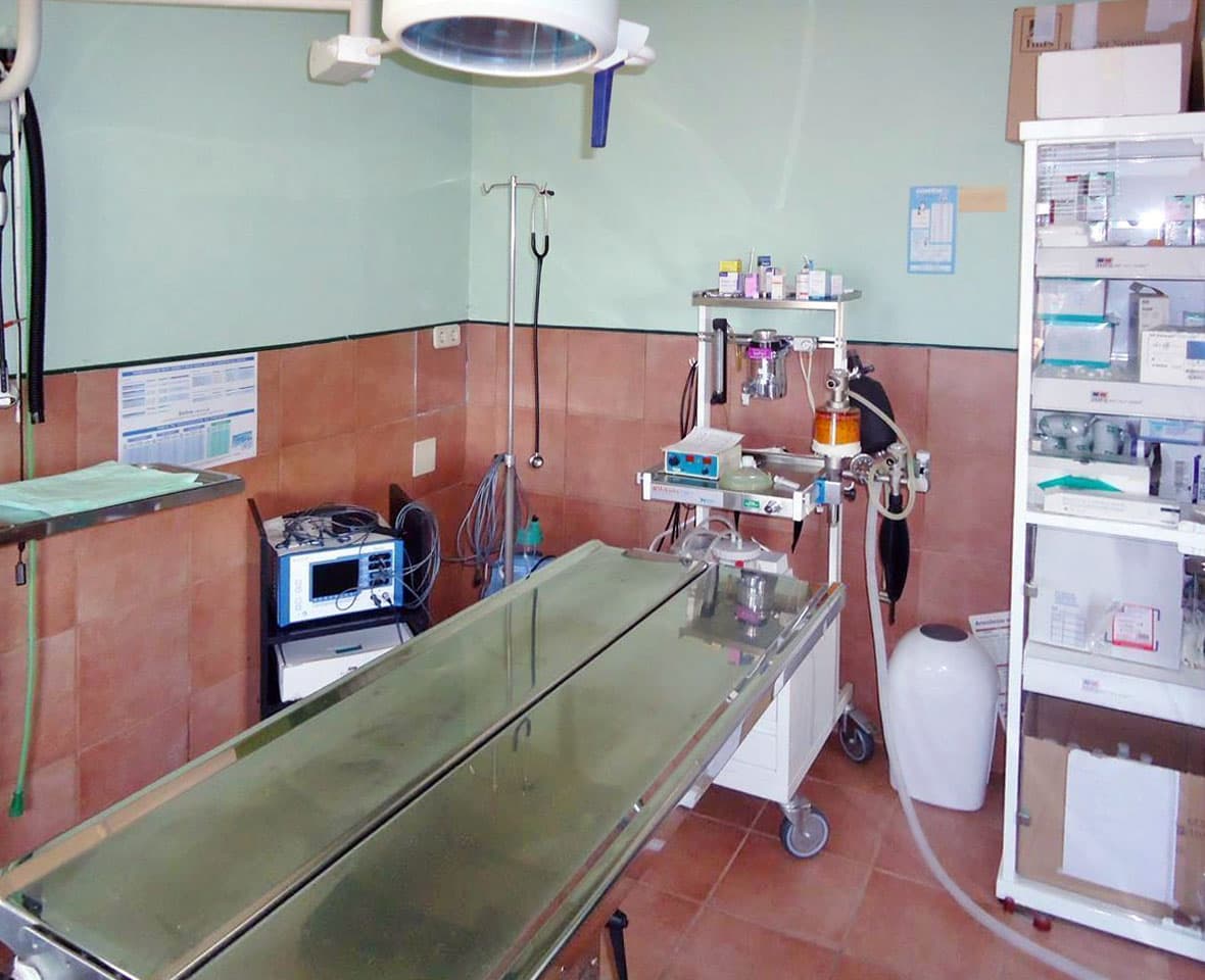 Centro Veterinario Montrove